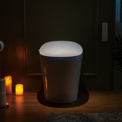 Rowan One-Piece Intelligent Bidet Toilet - additional view