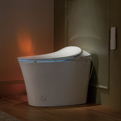 Rowan One-Piece Intelligent Bidet Toilet - additional view