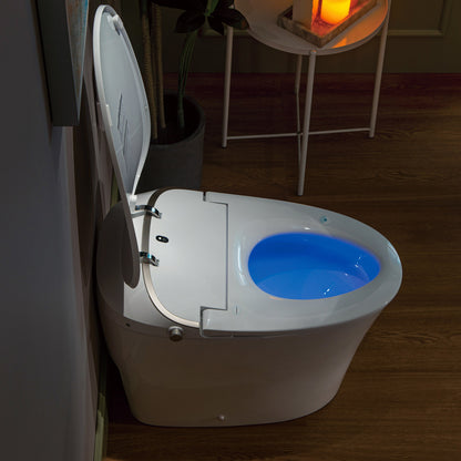 Rowan One-Piece Intelligent Bidet Toilet - additional view