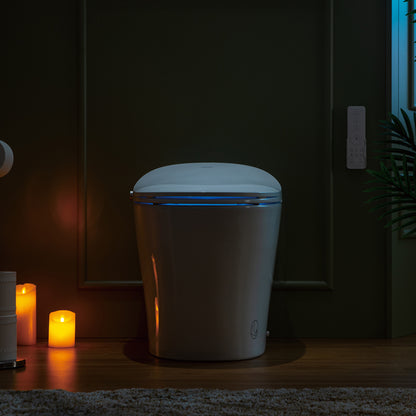 Rowan One-Piece Intelligent Bidet Toilet - additional view