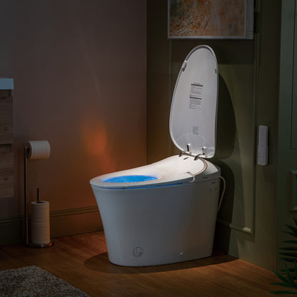 Rowan One-Piece Intelligent Bidet Toilet - rear view