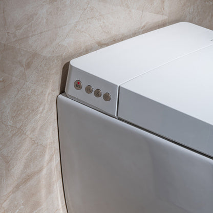Sterling Wall-Hung Intelligent Bidet Toilet - additional view
