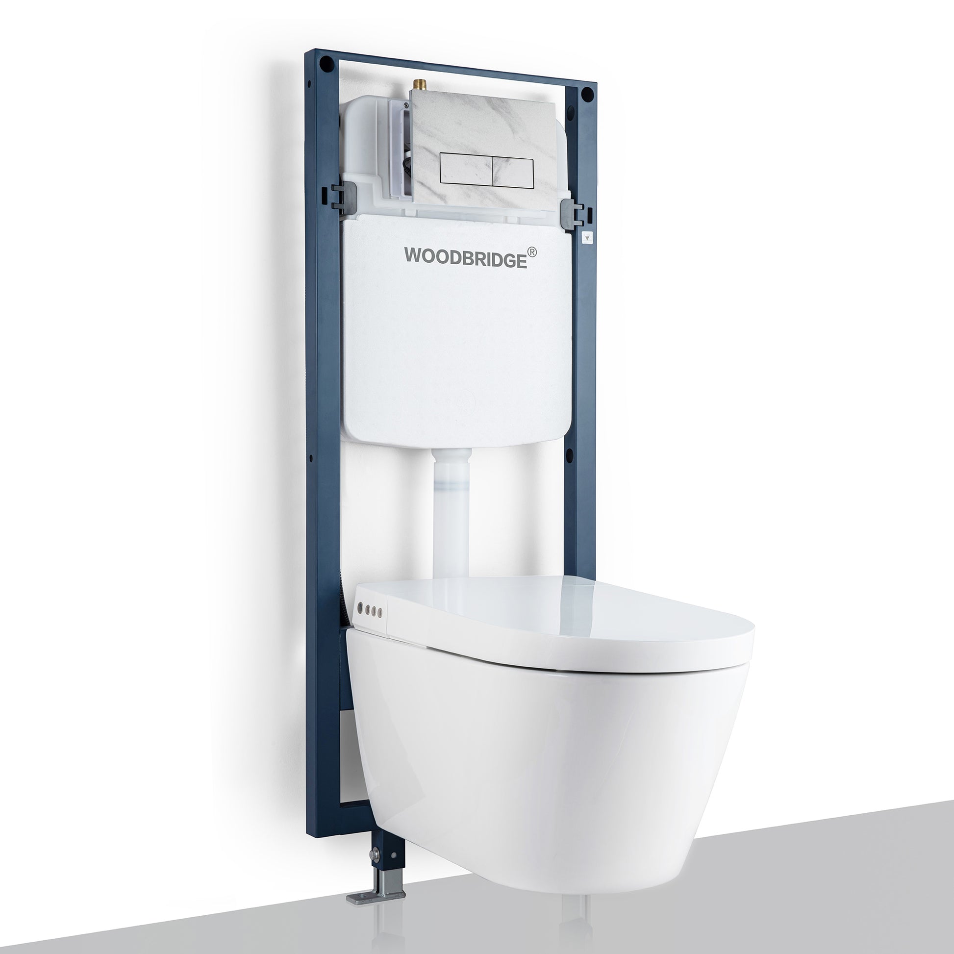 Sterling Wall-Hung Intelligent Bidet Toilet - flush plate detail