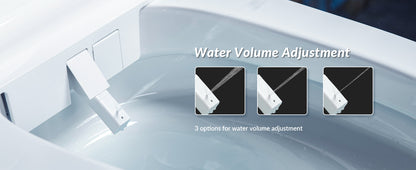 Thalia Tankless One-Piece Intelligent Bidet Toilet - feature detail