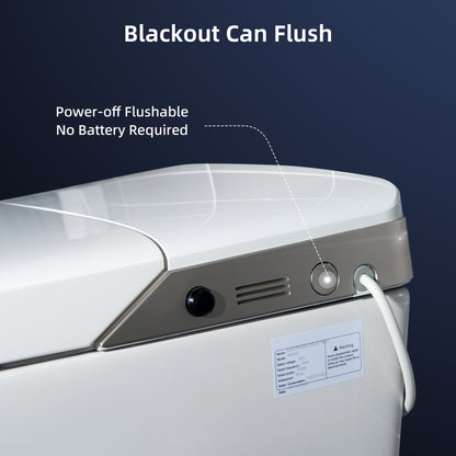Vesper Intelligent Massage-Wash Bidet Toilet - remote control