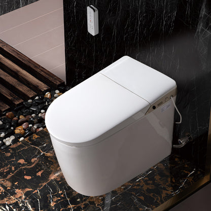 Vesper Intelligent Massage-Wash Bidet Toilet - additional view
