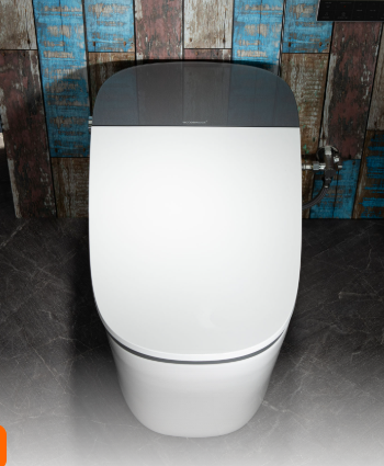 WOODBRIDGE B0930S One-Piece Intelligent Toilet with Cleaning Foam Dispenser