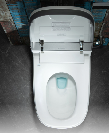 WOODBRIDGE B0930S One-Piece Intelligent Toilet with Cleaning Foam Dispenser