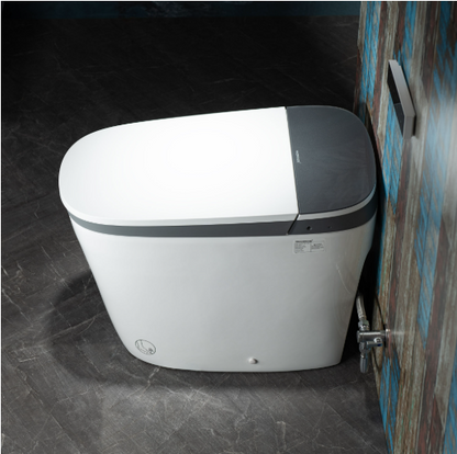 WOODBRIDGE B0930S One-Piece Intelligent Toilet with Cleaning Foam Dispenser