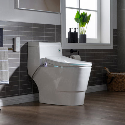 Wren Elongated Intelligent Bidet Toilet - front view