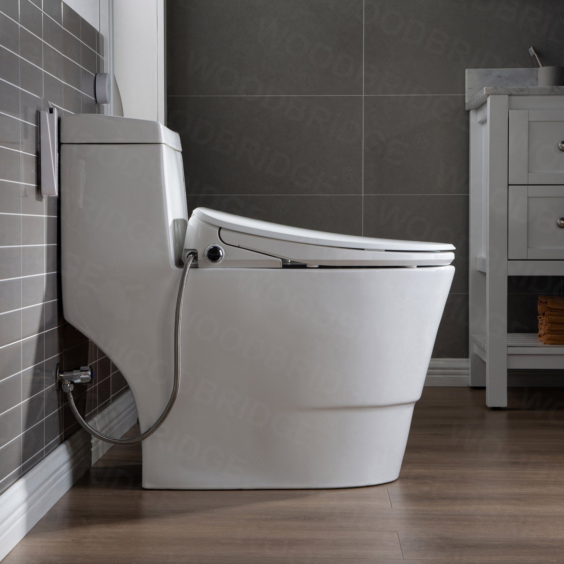 Wren Elongated Intelligent Bidet Toilet - installation view
