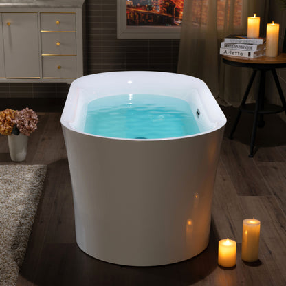 Zen 59" Freestanding Bathtub