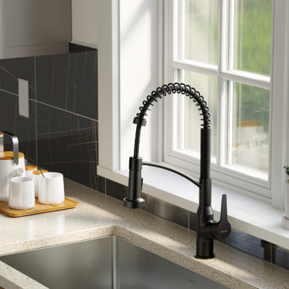 Scottsdale Kitchen Faucet with Matching Soap Dispenser