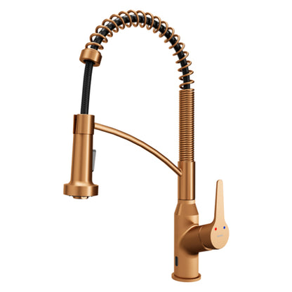 Alston Kitchen Faucet