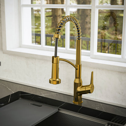 Alston Kitchen Faucet