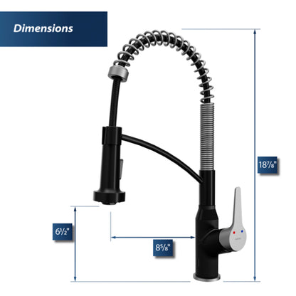 Alston Kitchen Faucet