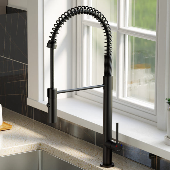 Bluffton Kitchen Faucet with Matching Soap Dispenser