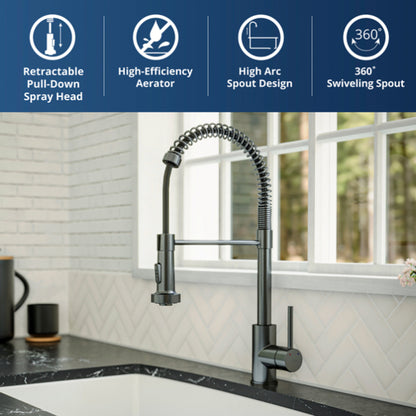 Kadira Kitchen Faucet