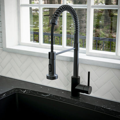 Kadira Kitchen Faucet