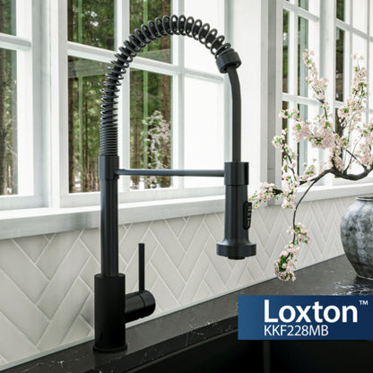 Loxton Kitchen Faucet