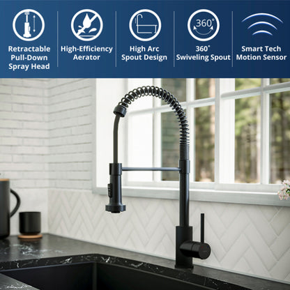 Loxton Kitchen Faucet