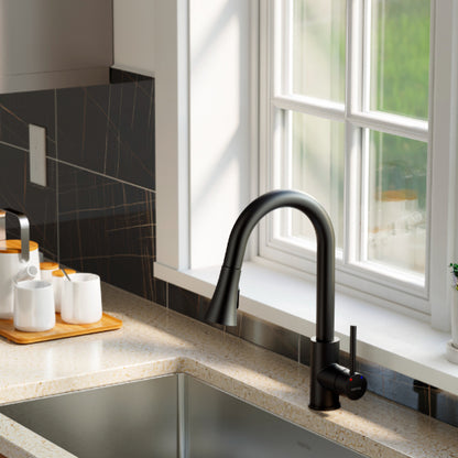 Weybridge Kitchen Faucet