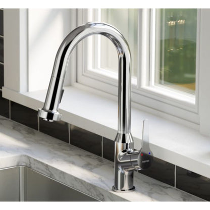 Dockton Kitchen Faucet