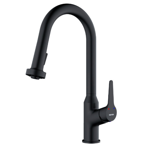 Dockton Kitchen Faucet