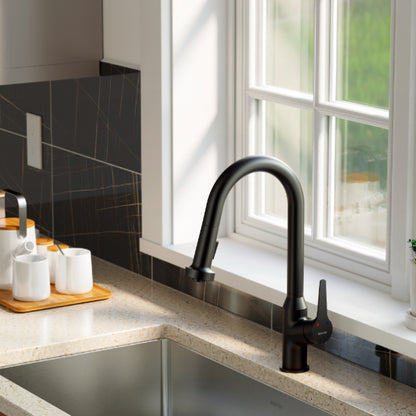 Dockton Kitchen Faucet