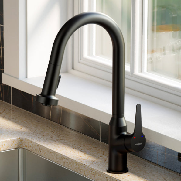 Dockton Kitchen Faucet