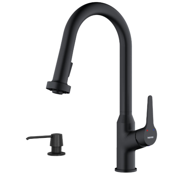 Dockton Kitchen Faucet with Matching Soap Dispenser