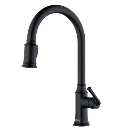 Auburn Kitchen Faucet