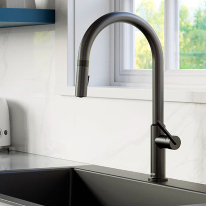 Lagrange Kitchen Faucet