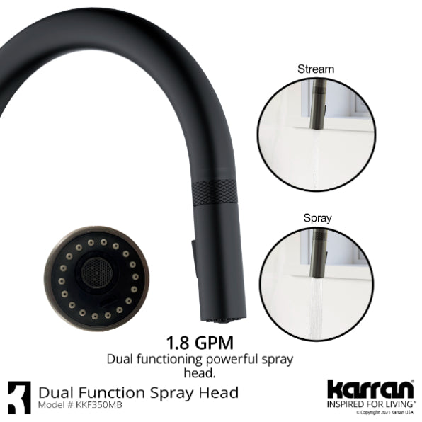 Lagrange Kitchen Faucet