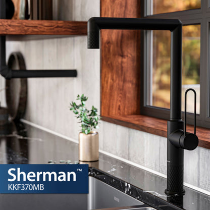 Sherman Kitchen Faucet