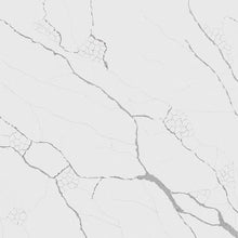 Load image into Gallery viewer, Carrara Veil Quartz
