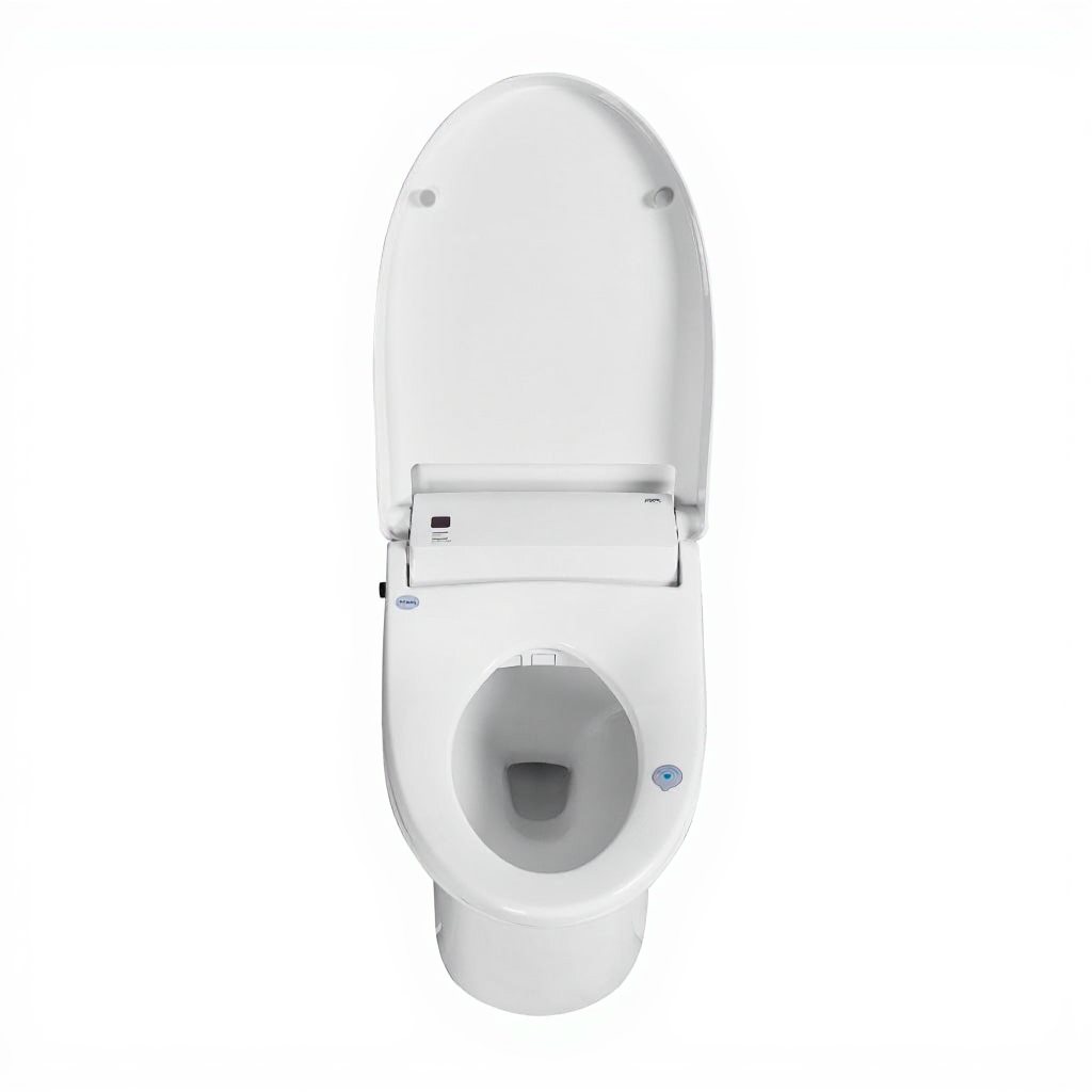 Zenobia One-Piece Intelligent Elongated Toilet - detail