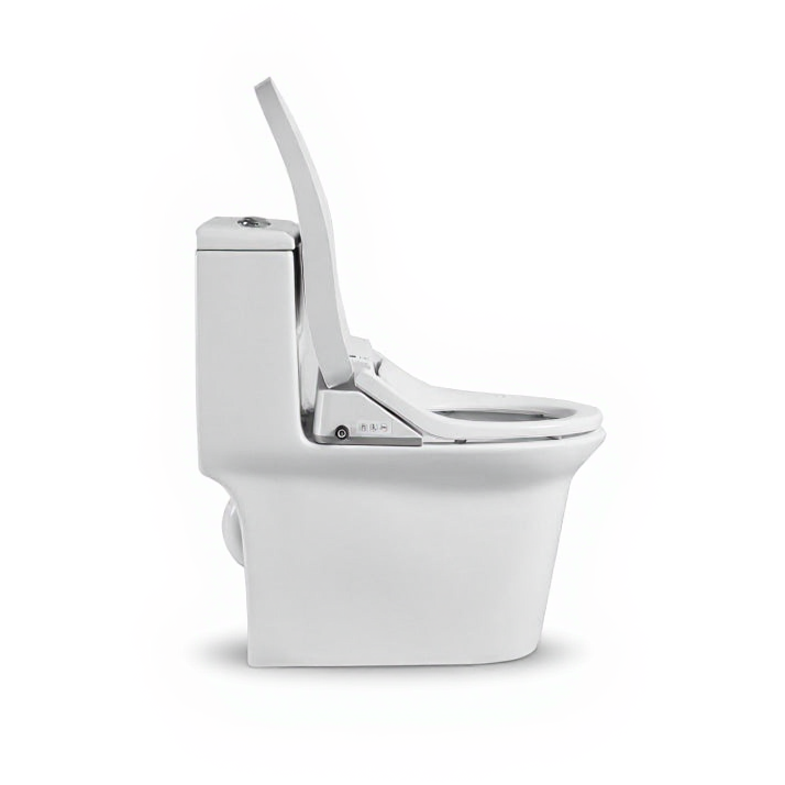 Zenobia One-Piece Intelligent Elongated Toilet - side view