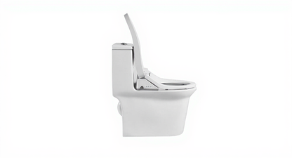 Zenobia One-Piece Intelligent Elongated Toilet