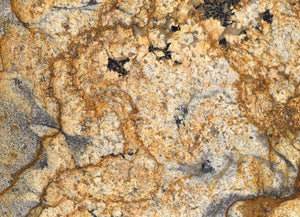 African Canyon Granite