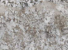 Load image into Gallery viewer, Bianco Antico Regular Granite
