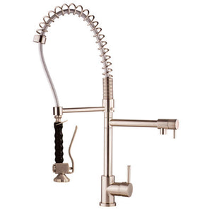 Tanaquil Coil Spring Pull-Down Kitchen Faucet with Pot Filler