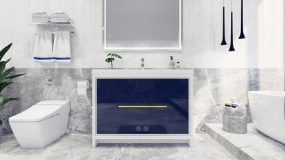 Dolce 48" Freestanding Bathroom Vanity with Reinforced Acrylic Integrated Sink Top