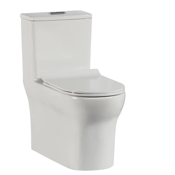 Aquilla One-Piece Dual-Flush Elongated Toilet