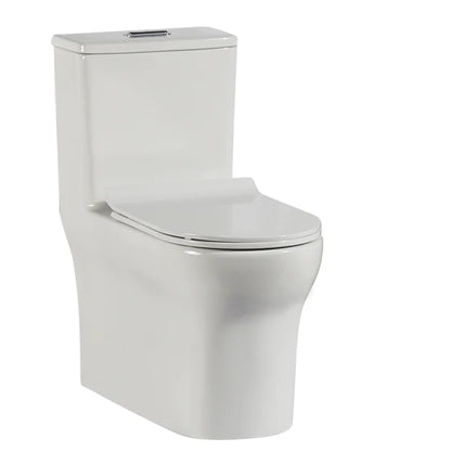 Aquilla One-Piece Dual-Flush Elongated Toilet