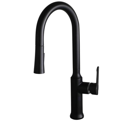 Elmer Kitchen Faucet