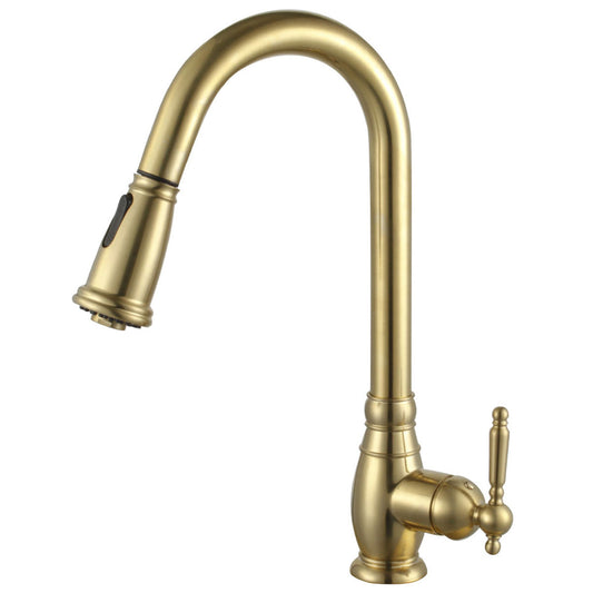 Ishanti Kitchen Faucet